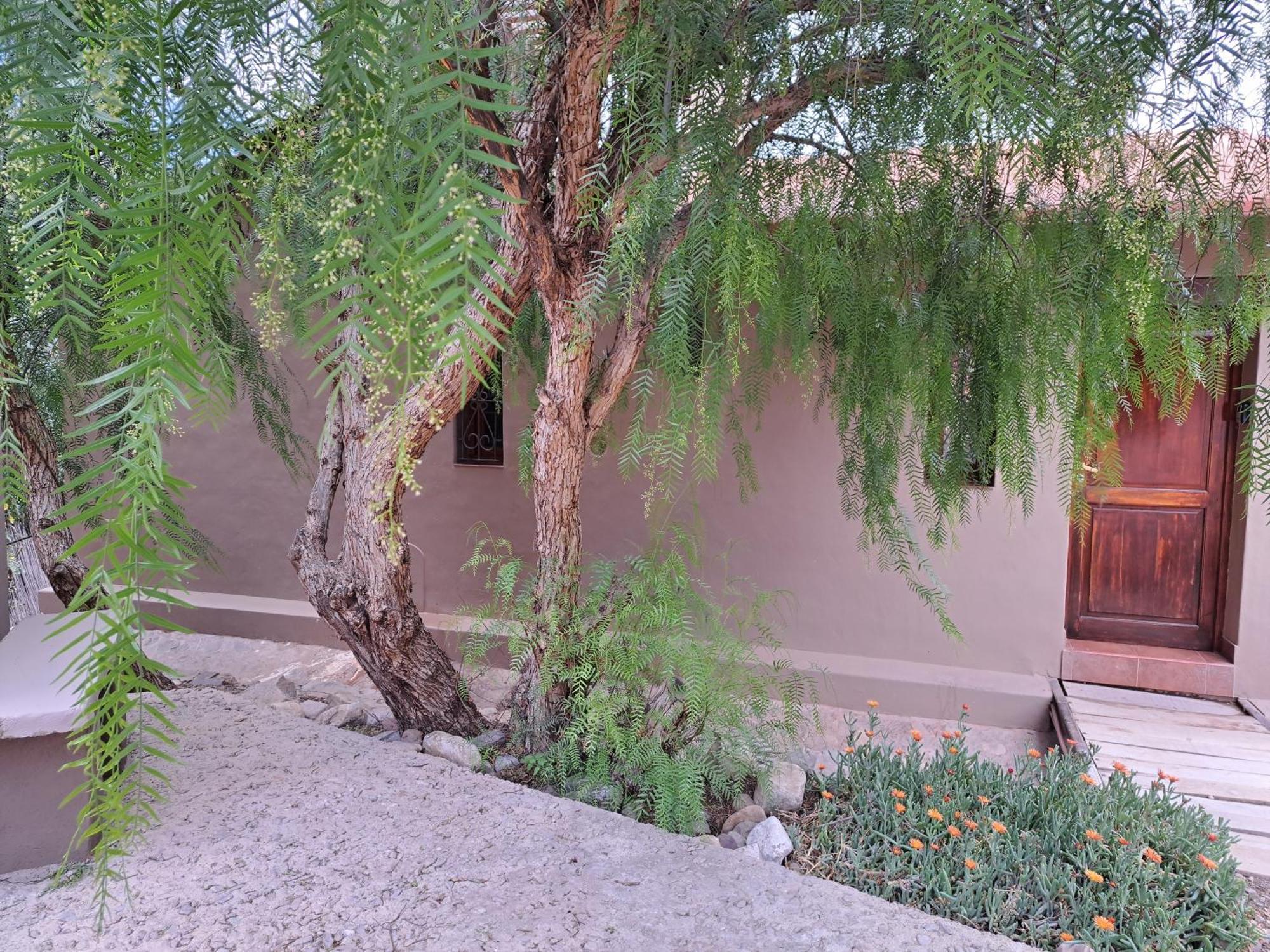 Casa En Tilcara Con Hermosa Vista Al Pucara Kültér fotó